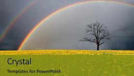  Presentation with dandelion - Amazing PPT layouts having cloudy sky with rainbow backdrop and a gold colored foreground
