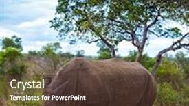  Presentation with africa tourism - Amazing presentation theme having cloudy-summer-day-travel backdrop and a tawny brown colored foreground