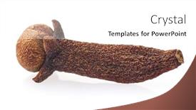  Presentation with clove - Presentation enhanced with clove-in-closeup-on-white background and a white colored foreground