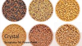  Presentation with seeds - Beautiful theme featuring clover fenugreek wheat raddish alfalfa backdrop and a coral colored foreground
