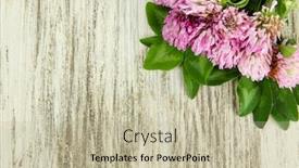  Presentation with clover - Slide set consisting of fashionable christmas decorations soviet era background and a lemonade colored foreground.