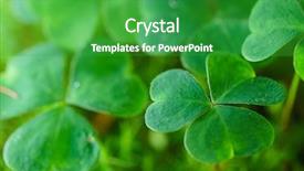  Presentation with chemistry leaves green leaf - Slides consisting of clover leaves for green background background and a shamrock green colored foreground