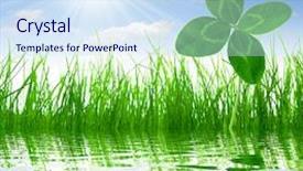  Presentation with clover - PPT theme consisting of clover quarterfoils with fresh spring background and a sky blue colored foreground