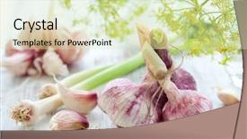  Presentation with garlic - PPT theme enhanced with cloves and bulbs of fresh garlic background and a soft green colored foreground