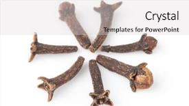  Presentation with circle - Presentation theme featuring cloves-forming-a-circle-macro background and a light gray colored foreground