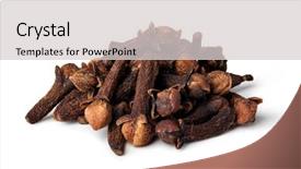  Presentation with clove - Colorful PPT theme enhanced with english - dictionary page with word thrilling backdrop and a mint green colored foreground.