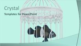  Presentation with funny animals - Presentation having clown-fish-caged-in-white background and a cool aqua colored foreground