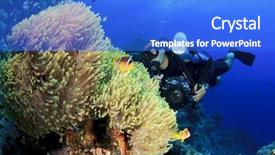  Presentation with underwater - Beautiful presentation theme featuring clownfish at anemone city backdrop and a  colored foreground