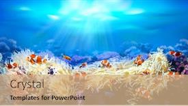  Presentation with sea animals - Amazing presentation having clownfish-swimming-among-sea-anemones backdrop and a coral colored foreground