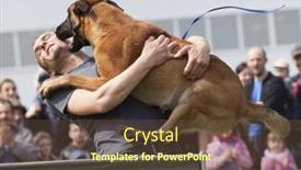  Presentation with rescue - Beautiful presentation theme featuring cluj-napoca-romania-april-24 backdrop and a tawny brown colored foreground