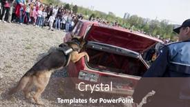  Presentation with rescue - Audience pleasing PPT theme consisting of cluj-napoca-romania-april-24 backdrop and a gray colored foreground