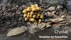  Presentation with land - Audience pleasing slide deck consisting of clump-of-tiny-and-orange backdrop and a dark gray colored foreground