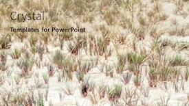  Presentation with moving sea - Presentation theme enhanced with clumps-of-dune-grass-called background and a coral colored foreground