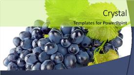  Presentation with green blur floral - PPT layouts having cluster blue grapes with green background and a yellow colored foreground