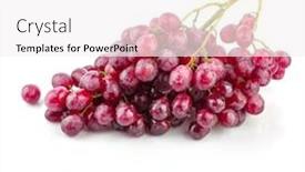  Presentation with fruit - Presentation design enhanced with cluster-fresh-grapes-ripe-fruit background and a white colored foreground