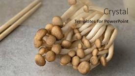  Presentation with mushrooms - Cool new presentation theme with cluster-of-fresh-brown-shimeji backdrop and a coral colored foreground