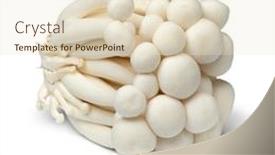  Presentation with mushrooms - Presentation design enhanced with cluster-of-fresh-white-shimeji background and a lemonade colored foreground