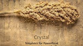  Presentation with gluten free - Presentation having cluster-of-gluten-free-white background and a coral colored foreground