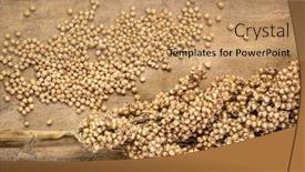  Presentation with sorghum - PPT layouts featuring cluster-of-gluten-free-white background and a coral colored foreground