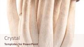  Presentation with japanese - PPT theme consisting of cluster-of-hon-shimeji-edible background and a lemonade colored foreground