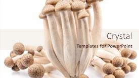  Presentation with japanese - Presentation theme with cluster-of-hon-shimeji-edible background and a lemonade colored foreground