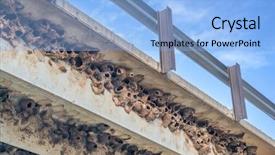  Presentation with bridge concrete - Slides enhanced with clusters of cliff swallow mud background and a light blue colored foreground