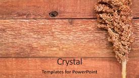  Presentation with wood rustic - Audience pleasing slide set consisting of clusters of ripe red sorghum seeds on rustic wood background with a copy space backdrop and a coral colored foreground