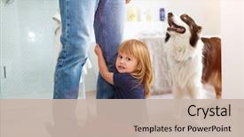  Presentation with father - PPT theme with clutch - little girl clutching father's legs background and a soft green colored foreground