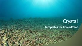  Presentation with overfishing - Amazing PPT layouts having co2 - environmental problem dead coral backdrop and a ocean colored foreground