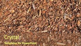  Presentation with nuggets - Audience pleasing presentation consisting of coarse dried pine bark backdrop and a tawny brown colored foreground