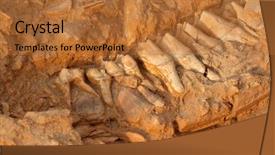  Presentation with old west - Amazing slide set having coast fossil park south africa backdrop and a red colored foreground