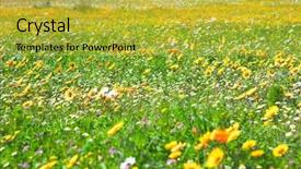  Presentation with west africa - Presentation design having coast national park south africa background and a yellow colored foreground