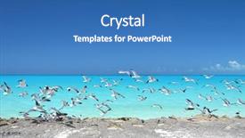  Presentation with bahamas - Beautiful presentation theme featuring coast of little exuma bahamas backdrop and a teal colored foreground