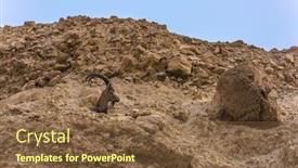  Presentation with coast - Cool new slides with coast-of-the-famous-dead backdrop and a tawny brown colored foreground