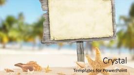  Presentation with sea shells - Presentation design having coastal area - summer beach with shells stars background and a lemonade colored foreground