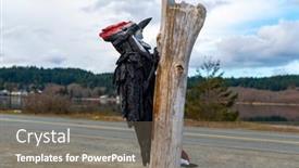  Presentation with coastal - Presentation featuring coastal-driftwood-art-from-esquimalt background and a gray colored foreground