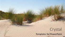  Presentation with coastal - Slide set featuring desertification - coastal sand dunes background and a lemonade colored foreground