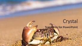  Presentation with alien - Colorful presentation design enhanced with coastal threats - alien creature by the sea backdrop and a  colored foreground