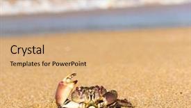  Presentation with alien - Colorful theme enhanced with coastal threats - alien creature cute animal backdrop and a  colored foreground