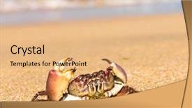  Presentation with alien - Audience pleasing PPT theme consisting of coconut cake on white backgraund backdrop and a white colored foreground