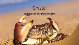  Presentation with alien - Audience pleasing PPT theme consisting of ctf - conceptual 3d render image backdrop and a black colored foreground