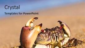  Presentation with alien - Audience pleasing PPT theme consisting of coastal threats - alien creature pure threat backdrop and a light blue colored foreground