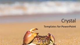  Presentation with coastal - Beautiful PPT layouts featuring coastal threats - cute animal on the shore backdrop and a  colored foreground