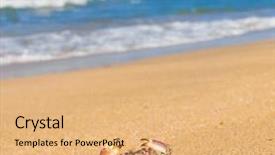  Presentation with anime cute japan cosplay - Colorful PPT theme enhanced with coastal threats - cute animal seafood posing backdrop and a  colored foreground