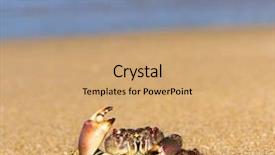  Presentation with cute nursing anime - Audience pleasing slide set consisting of coastal threats - cute animal seafood posing backdrop and a  colored foreground