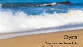  Presentation with alien - Slides enhanced with coastal threats - funny crab alien creature background and a  colored foreground