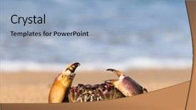  Presentation with alien - PPT layouts with coastal threats - funny crab alien creature background and a light blue colored foreground