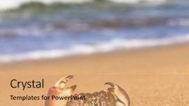  Presentation with crab - Amazing slides having coastal threats - funny crab menacing eyes backdrop and a  colored foreground