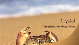  Presentation with eyes - PPT layouts having coastal threats - menacing eyes pure threat background and a  colored foreground