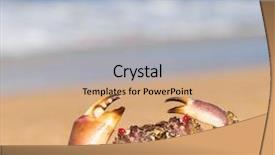  Presentation with blue eyes technology eye scan - Amazing slide deck having coastal threats - menacing eyes pure threat backdrop and a coral colored foreground